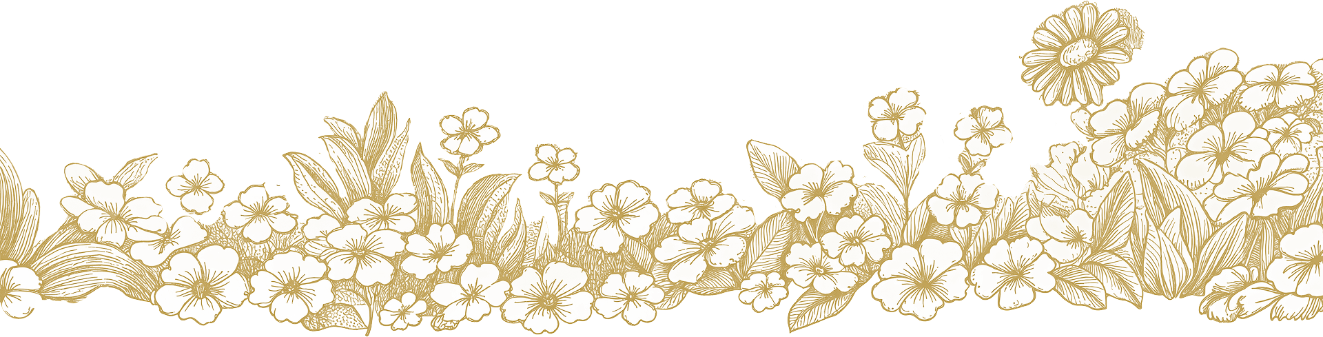 Footer Flower Front